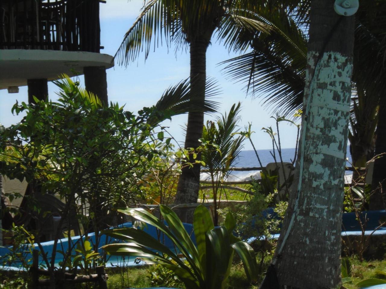 Marbella Eco Lodge Монтеррико Екстер'єр фото