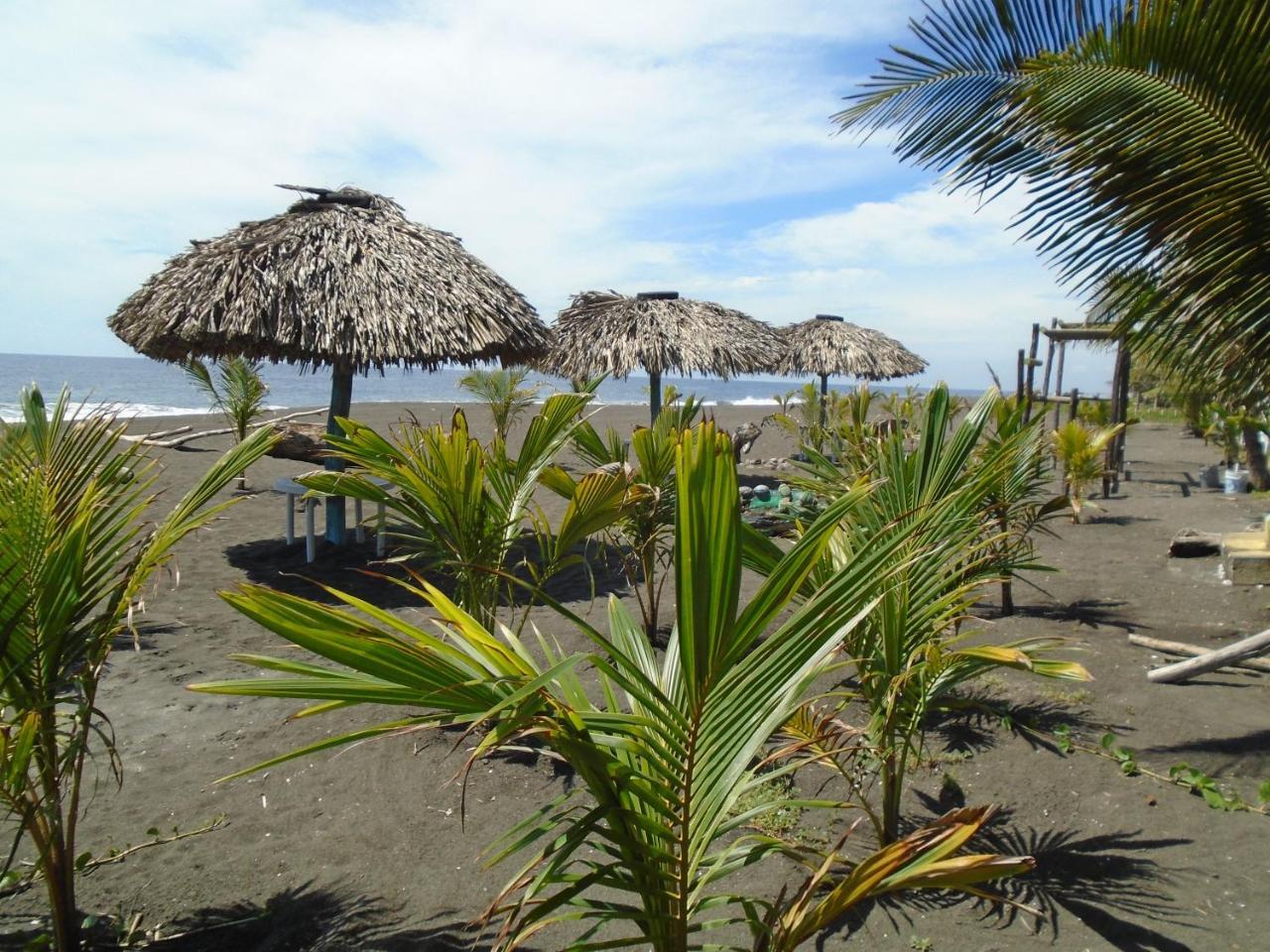 Marbella Eco Lodge Монтеррико Екстер'єр фото